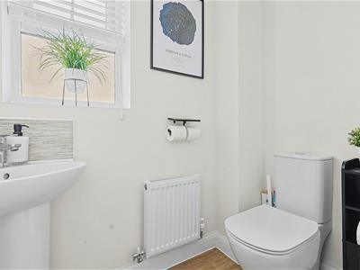 Picture 13